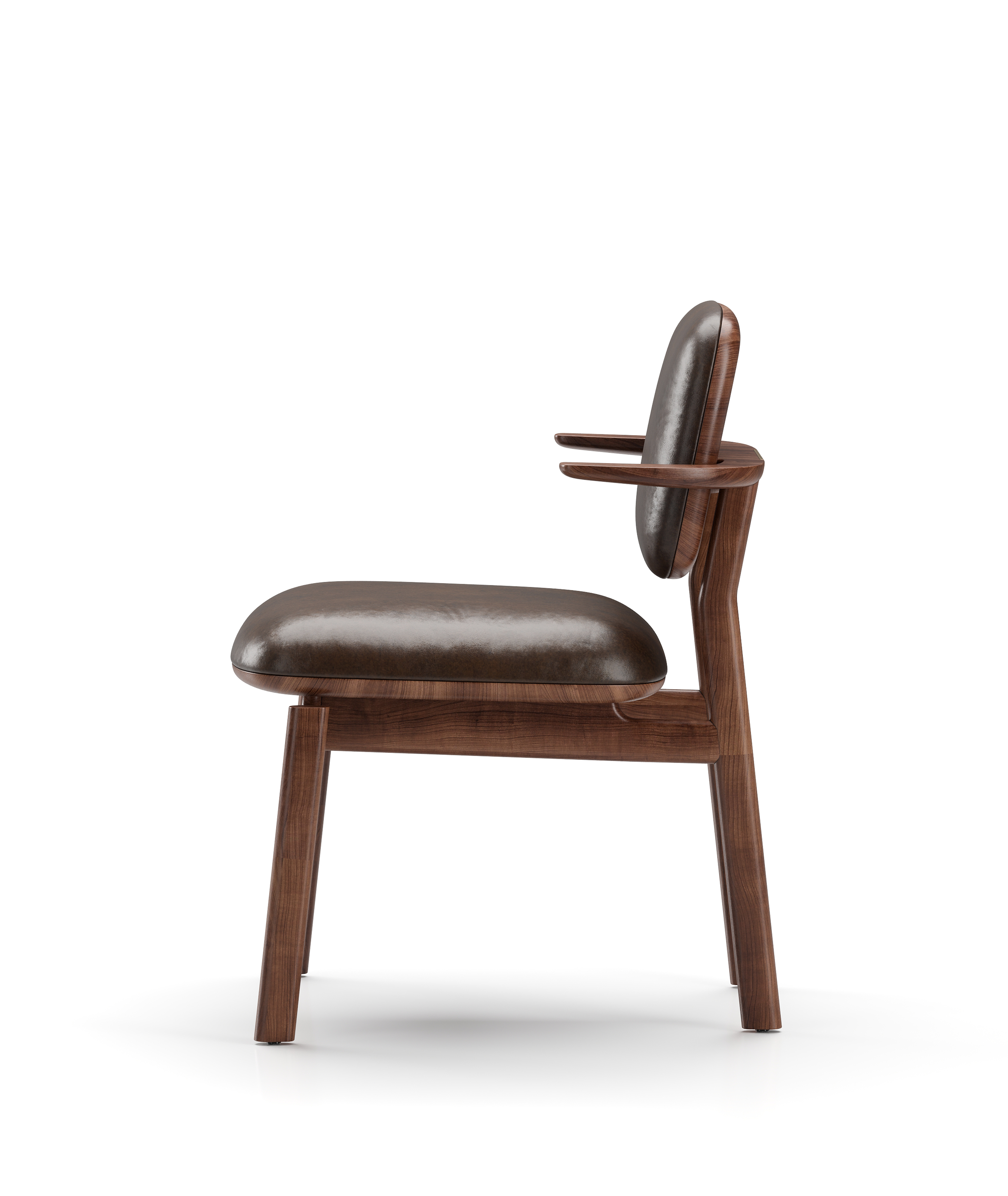 Stellar Works | Products - Marea Dining Chair